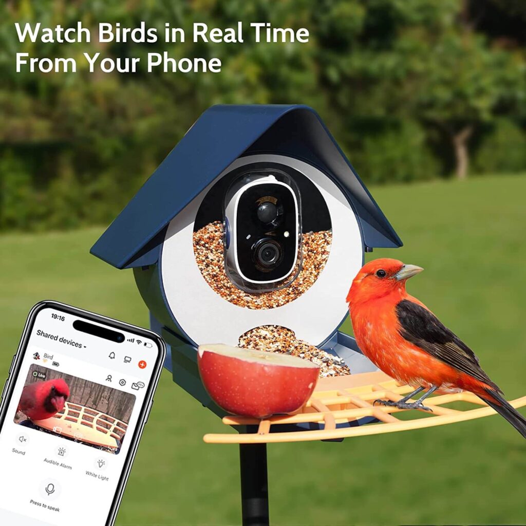 Birdkiss Smart Bird Feeder Review: The Avian Dining